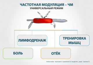 СКЭНАР-1-НТ (исполнение 01)  в Качканаре купить Медицинская техника - denasosteo.ru 