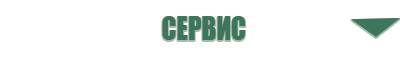 выносной электрод Вертебра